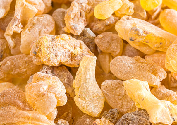 Boswellia Serrata