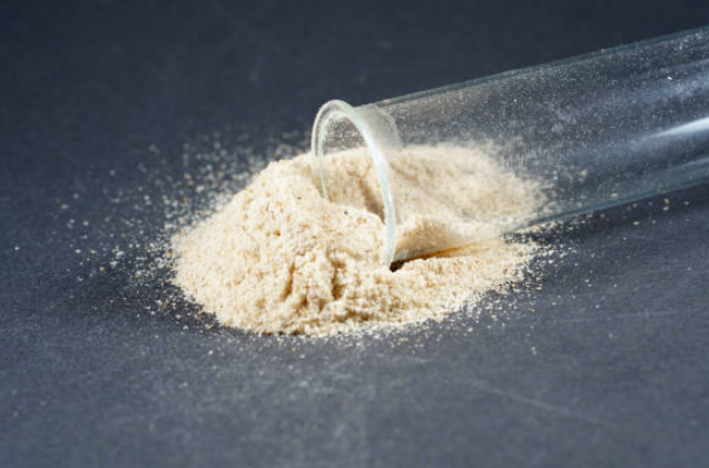 Chondroitin Sulfate